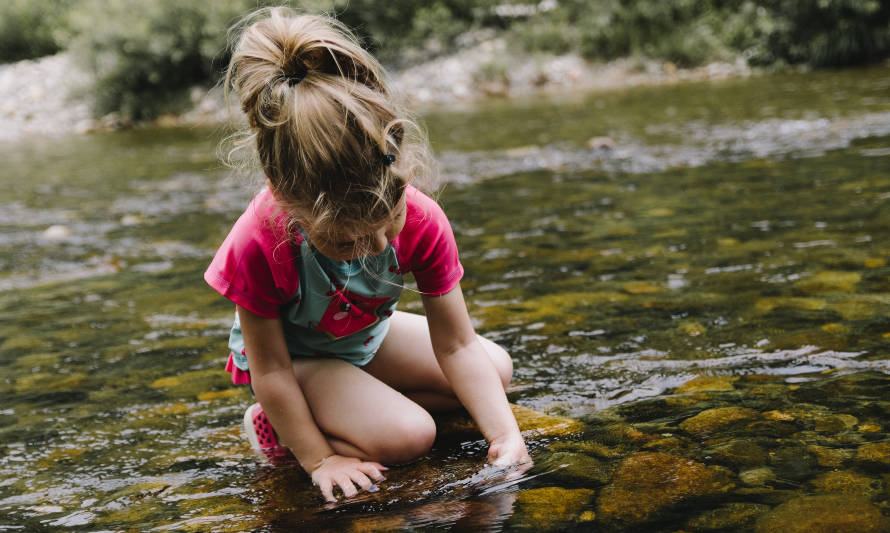 Guía busca prevenir la ecoansiedad en niños y niñas