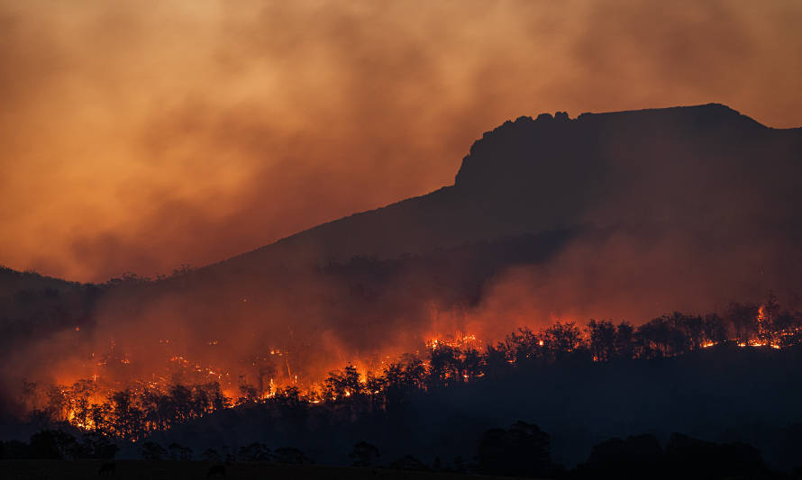 ¿Es posible recuperar el suelo tras un incendio?
