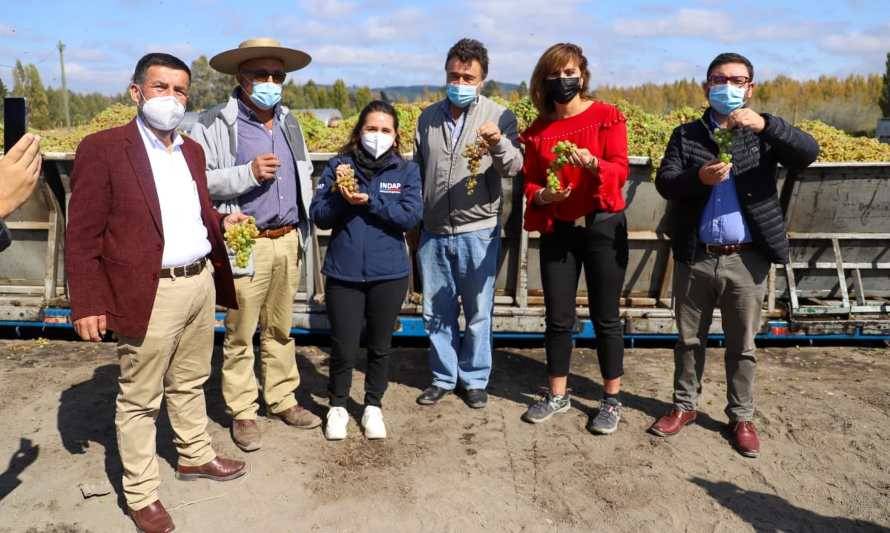 Ministerio de Agricultura compromete plan integral para abordar problemáticas de los viñateros del Valle del Itata