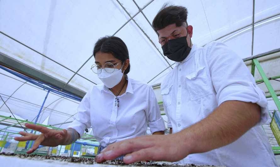 Jóvenes del Tamarugal finalizan prácticas profesionales
en Centro de Investigación Agropecuario de Pozo Almonte