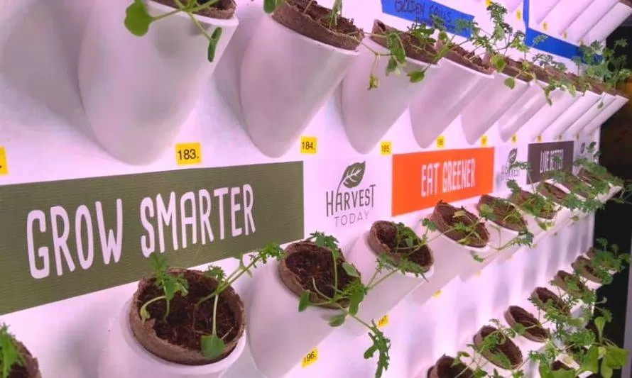 Harvest Wall: sistema de cultivo interior y escalable