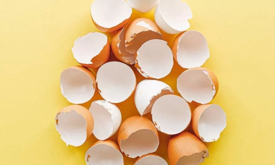 Aprovecha al máximo las cáscaras de huevos con estos cuatro tips