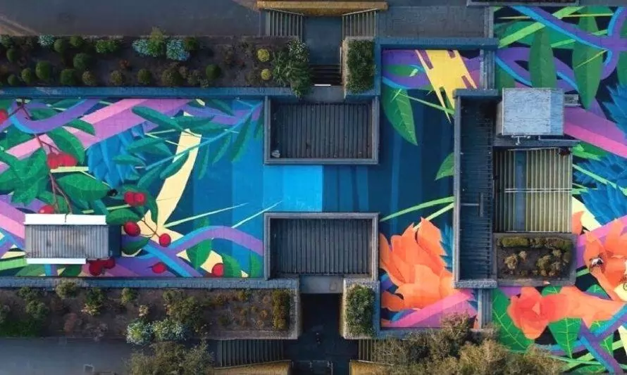 Jóvenes chilenos crean aditivo para pinturas que purifican el aire