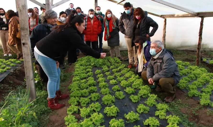 Joven de Puerto Natales quintuplicó la producción de su comunidad agrícola con innovador cuarto climatizado 