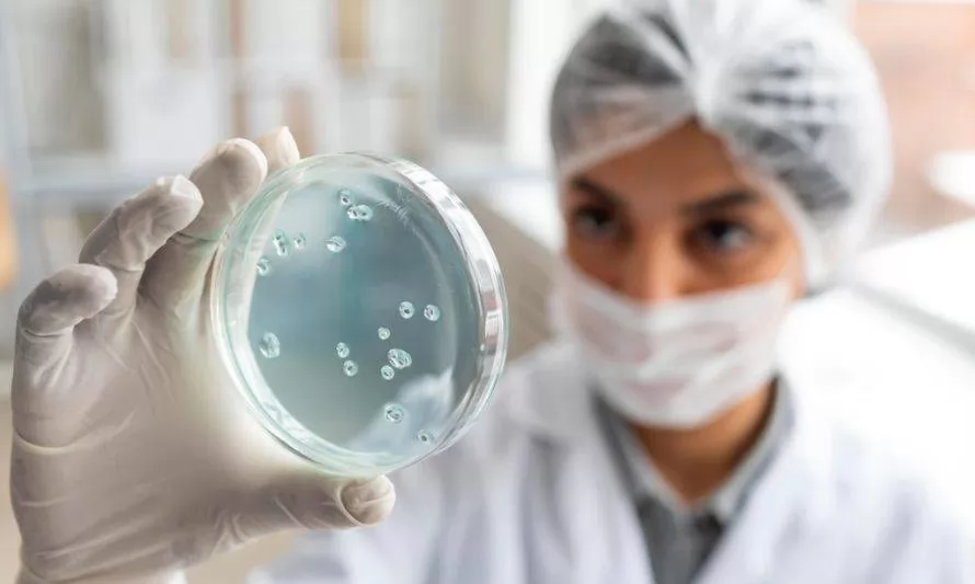 Científicos alemanes descubren enzima capaz de biodegradar el plástico en un día