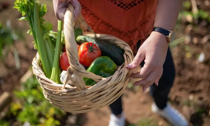 Conoce las 5 verduras que te ayudarán a controlar la hipertensión