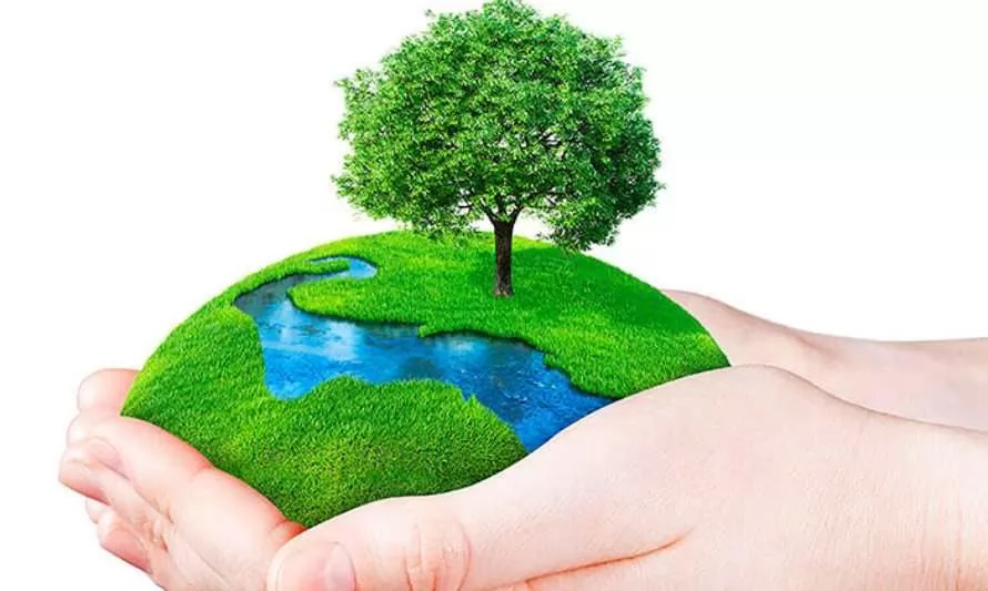 Día de la Tierra: Las 10 acciones que te pueden ayudar a cuidar el planeta