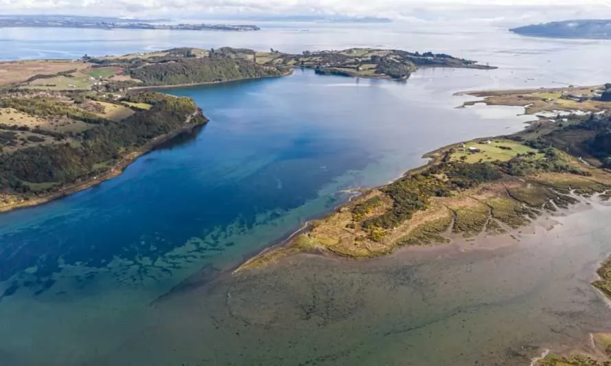 Declaran tres humedales costeros de Chiloé como nuevos Santuarios de la Naturaleza