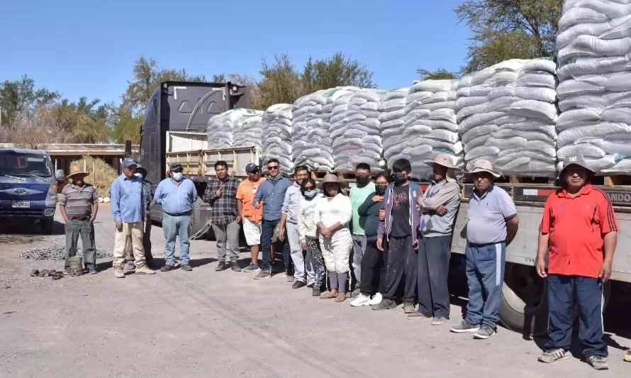 20 toneladas de alimentos reciben los ganaderos de la Pampa del Tamarugal para sus animales