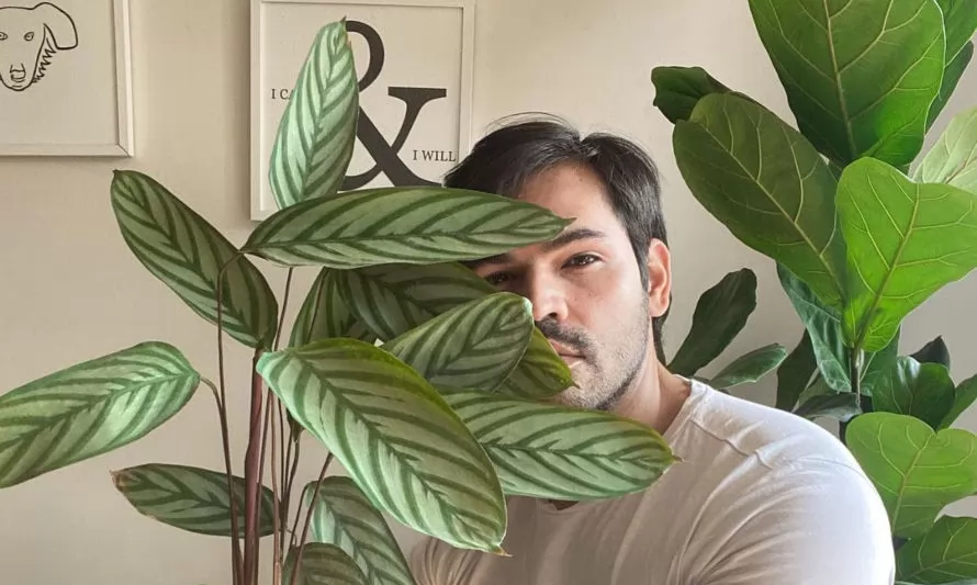 Plant lovers: Una jungla en mi departamento