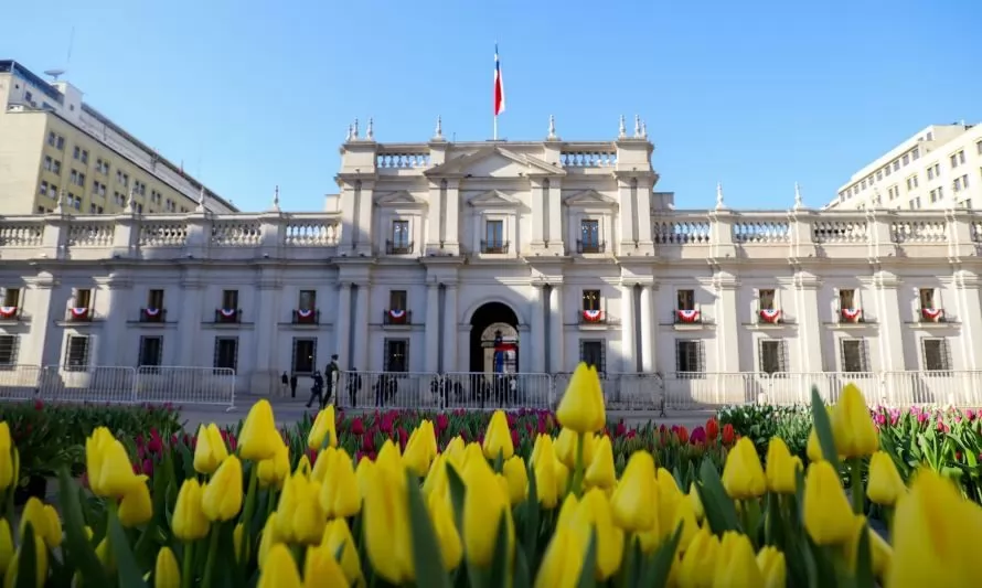 Países Bajos celebró el Día Nacional del Tulipán y dio la bienvenida a la primavera