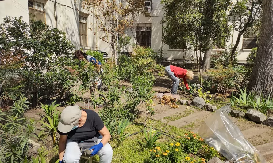 Fundación Inspira restaura sus jardines sanadores en hospitales