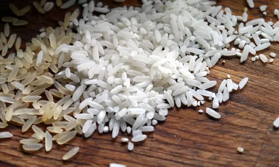 El arroz es uno de los cultivos que más agua consume: Innovación reduce 50% su requerimiento hídrico