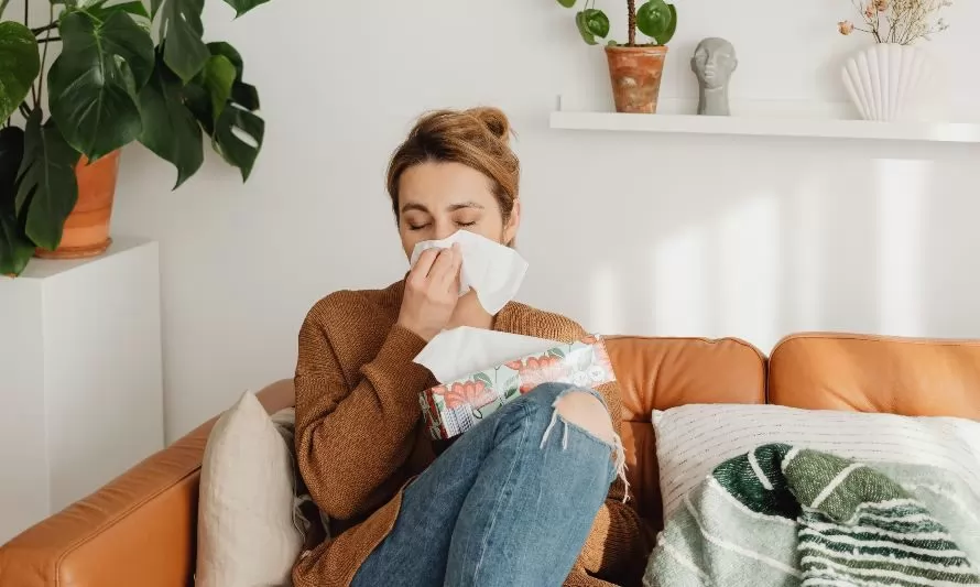 Cuatro claves para combatir las alergias en primavera