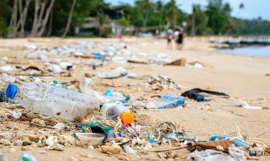 Día Mundial de Limpieza de Costas y Playas: ¿Qué pasa si no las limpiamos?