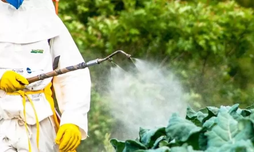 Ministerio de Agricultura anunció prohibició​n de uso de cuatro plaguicidas 