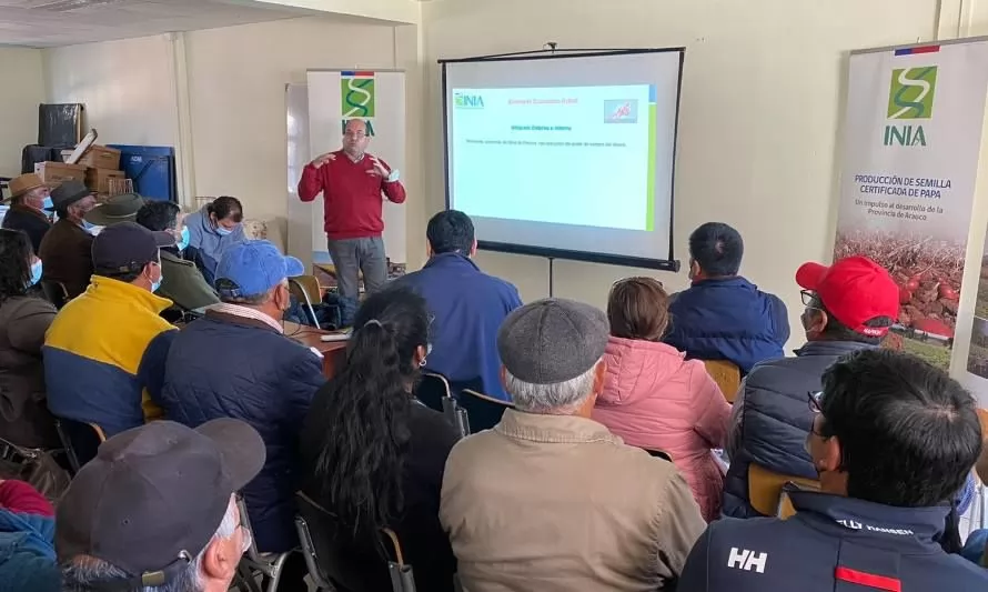 Capacitan a productores de papa de la provincia de Arauco para aumentar productividad