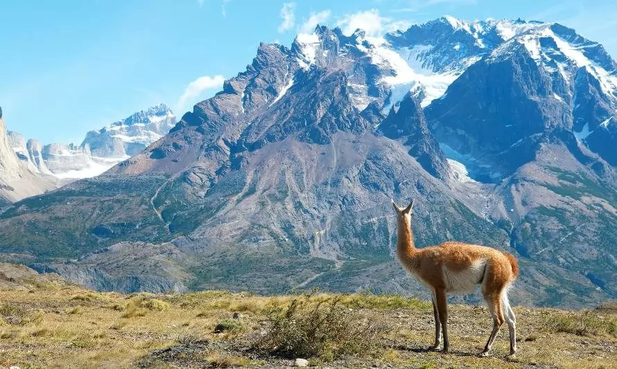 Bajar la huella ecológica disminuiría impacto del Cambio Climático en biodiversidad chilena