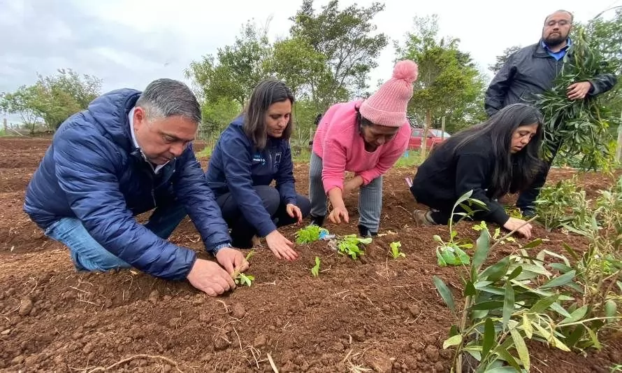 Proyecto INIA en Cañete incrementa actividades agrícolas junto a instituciones locales