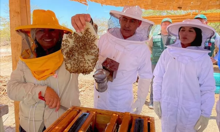 Apicultora cultiva miel en el desierto más árido del mundo