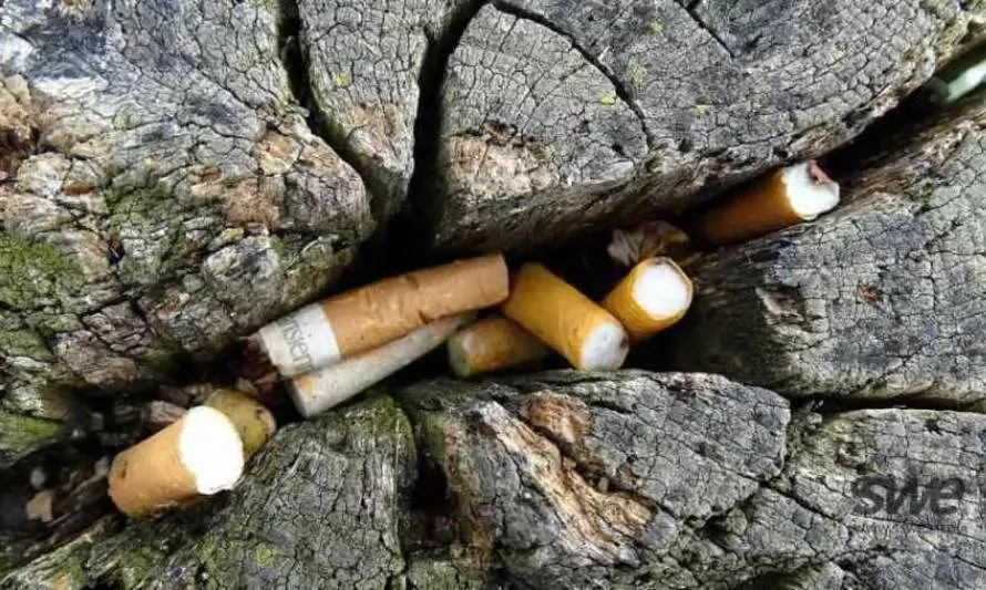¿Cómo los cigarrillos impactan el medio ambiente?