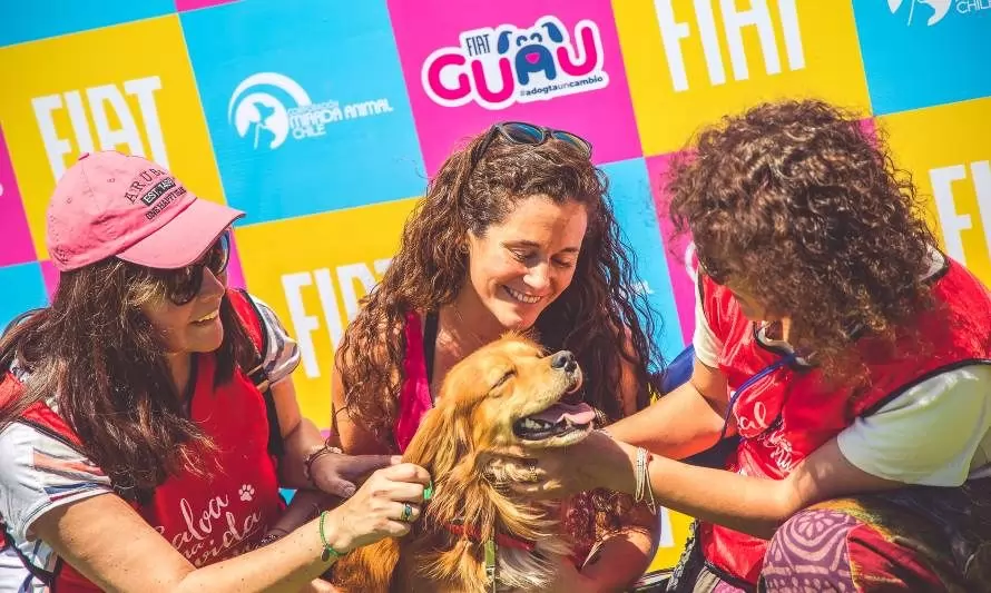 FIAT vuelve comprometido con la lucha contra el abandono y el maltrato de perros