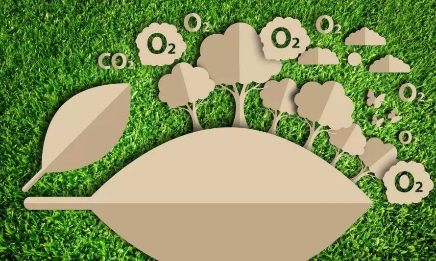 Gestión de residuos y medición de huella de carbono: Las herramientas para hacer a una empresa sostenible
