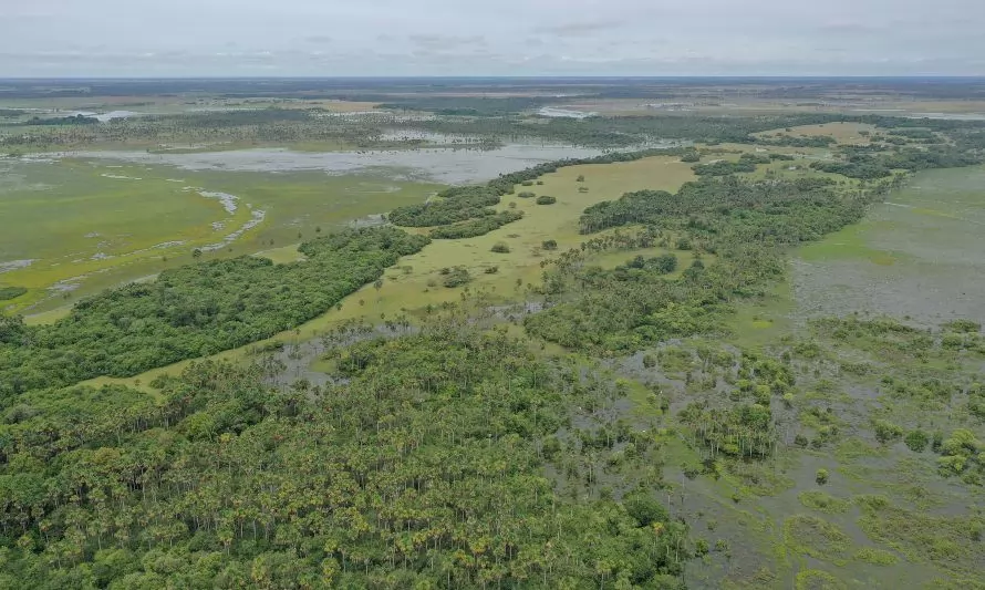 LATAM cierra alianza para la conservación de 575 mil hectáreas en área prioritaria a nivel mundial