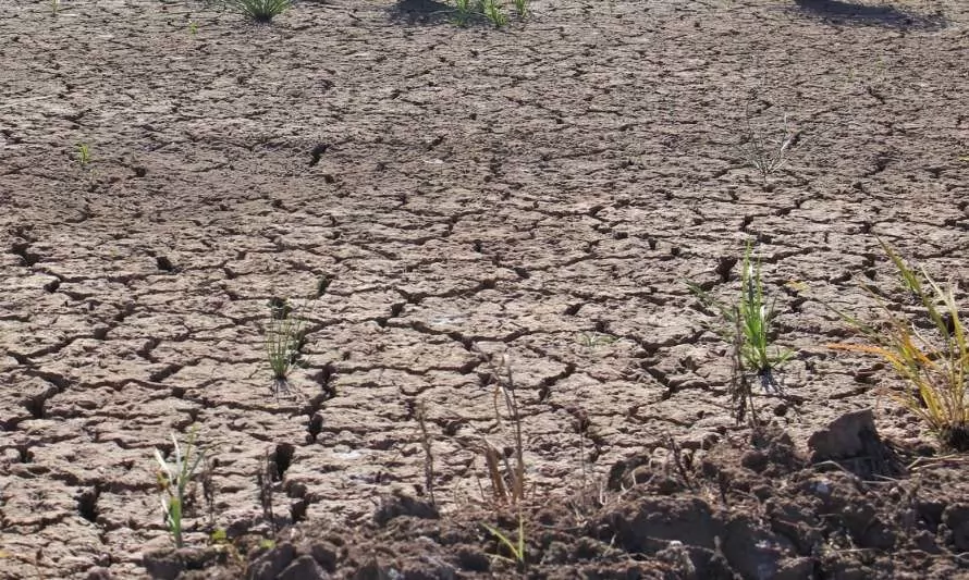 INIA presentará instrumento de predicción de sequía agrícola en seminario de la especialidad