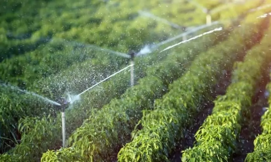 Ministros aprueban avanzar en una ley que permita regar cultivos agrícolas con agua reciclada