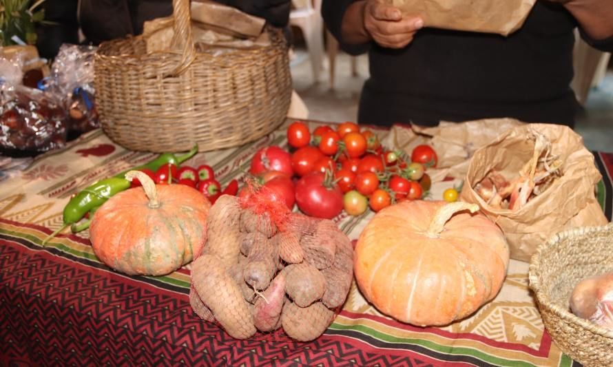 Lanzan catálogo que recopila 100 variedades de semillas tradicionales del pueblo Mapuche