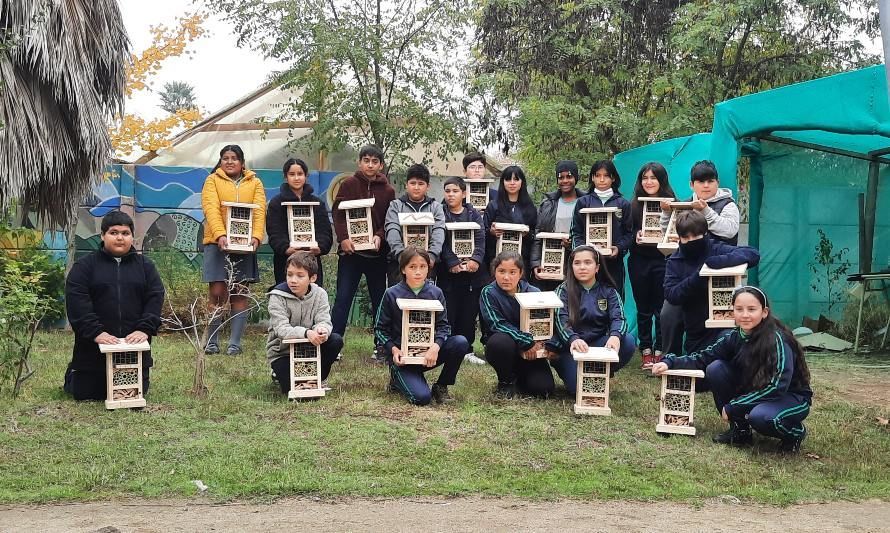 Estudiantes de enseñanza básica construyen hotel de Insectos para proteger a fauna benéfica