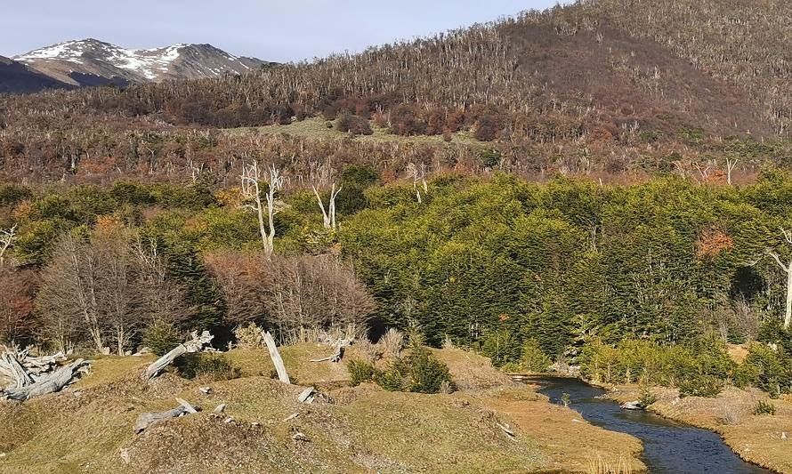 Inauguran base de investigación para el cambio climático más austral del mundo