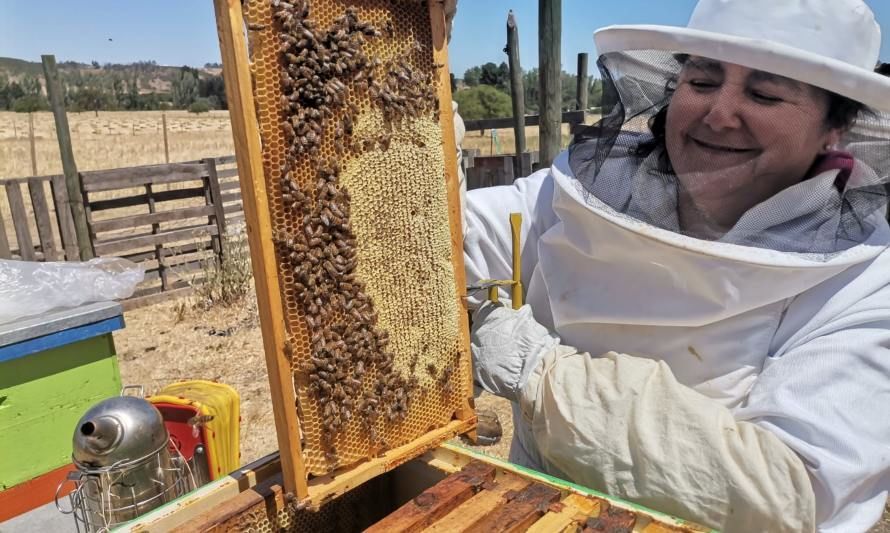 Día Mundial de las Abejas 2023: Experto de INIA Rayentué explica su importancia para la Agricultura