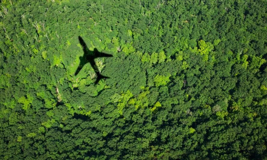 ¿Sabías que puedes compensar la huella de carbono generada por tus viajes aéreos?