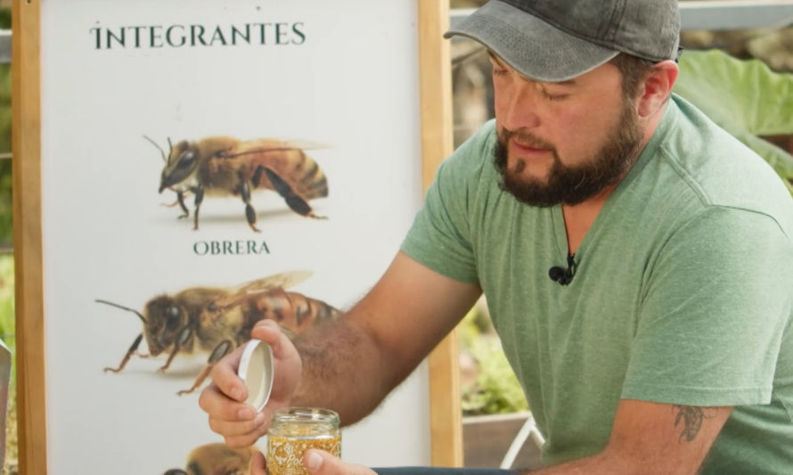 Mundo Miel: La agricultura sostenible es posible