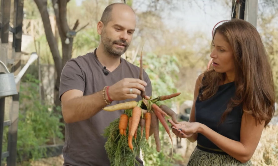 Tu huerta sustentable en casa: Zanahorias