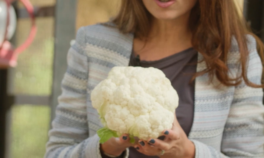 Tu huerta sustentable en casa: ¿Cómo cultivar y cuidar la coliflor?