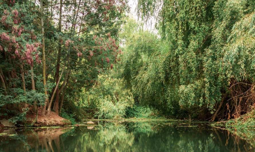 Turismo rural de los campos de O´higgins: el desafío de trabajar por el desarrollo de un turismo sostenible.