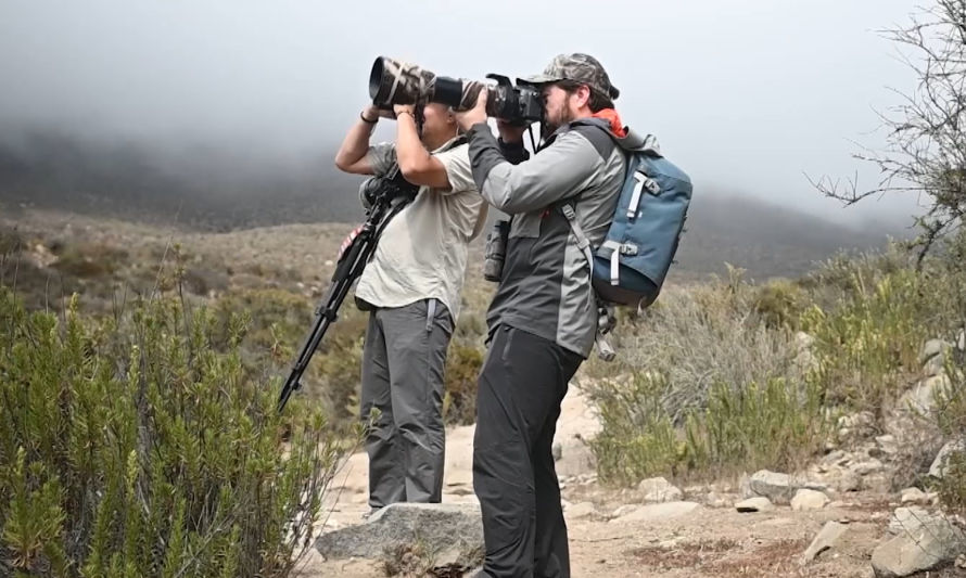 Red Aves: agrupación que busca proteger a las aves a través de la fotografía