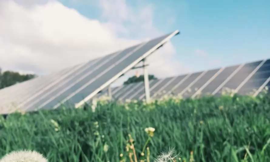 Energías renovables: el tópico que lidera las conversaciones sobre medioambiente en Chile