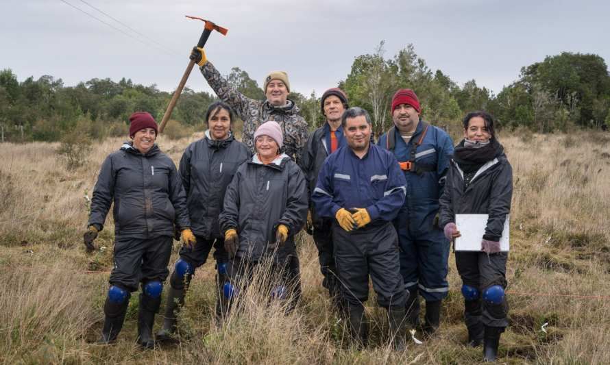 Festival Pala en Mano ya plantó 6 mil árboles en Chiloé