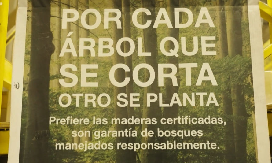 Sodimac: La casa de todos es lider en materiales ecoamigables con certificación nacional