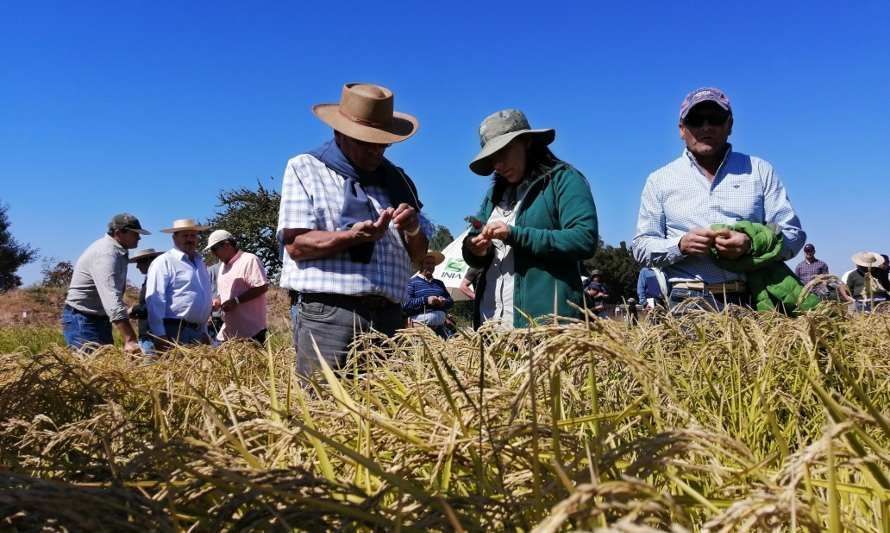 INIA apuesta a estrategia de vinculación para ayudar a productores/as en la adopción de tecnologías