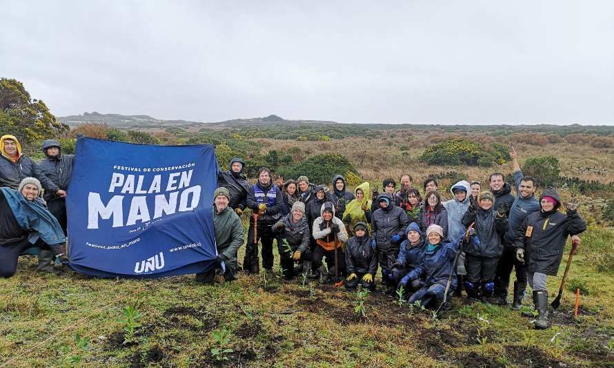 10 mil nuevos árboles plantados y más de 300 voluntarios registró la tercera edición del Festival Pala en Mano en Chiloé