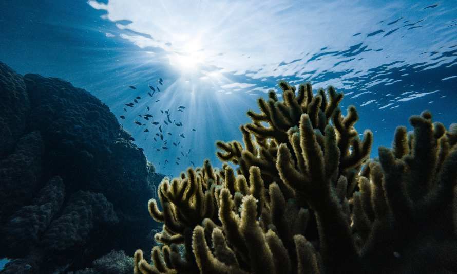 Reunión permitirá fijar mínimos comunes en América Latina en miras a la COP 30