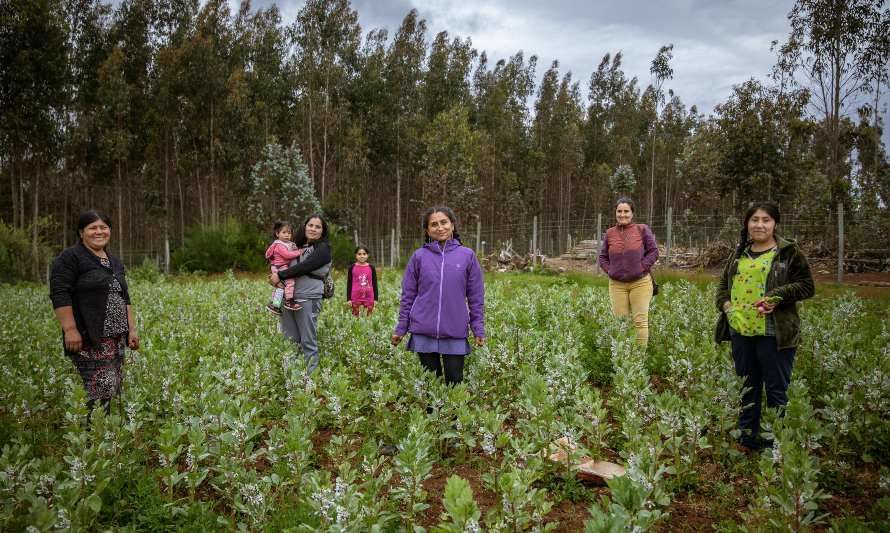 Las comunidades como protagonistas en respuesta a la escasez hídrica en Chile