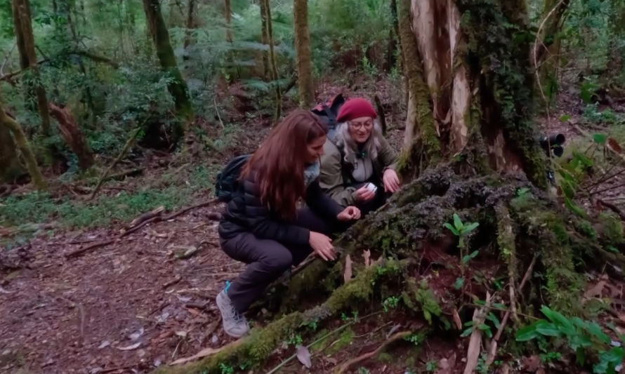 Monumento Natural Lahuen Ñadi: Un Tesoro de Biodiversidad en la Región de Los Lagos