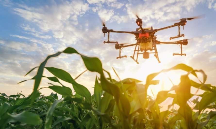 Cómo la tecnología apoya la agricultura 4.0