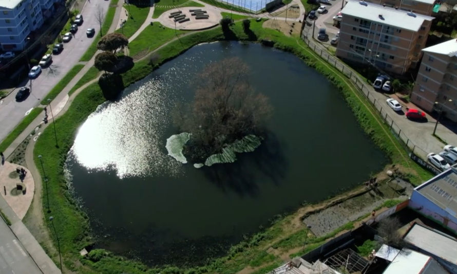 Humedal artificial es usado para descontaminación de lagunas en Concepción